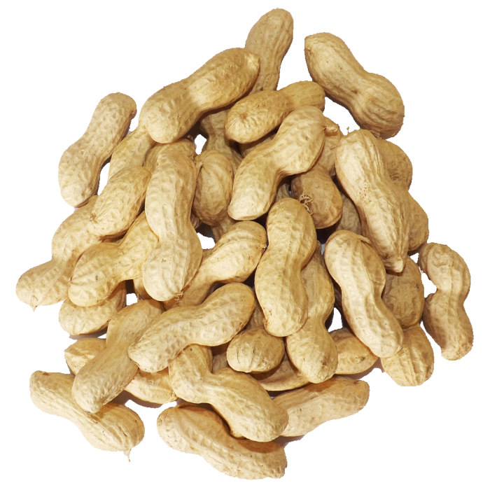 Arachides grillees (1 kg)